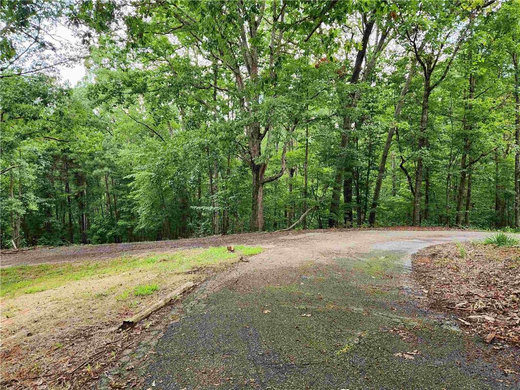 1397 McPherson Church Road Dallas, GA 30132 - Photo 4 of 9 a view of a field with trees in front of it
