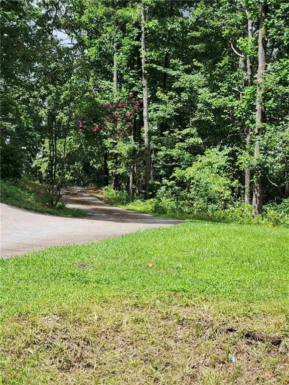 1397 McPherson Church Road Dallas, GA 30132 - Photo 5 of 9 a view of yard with green space
