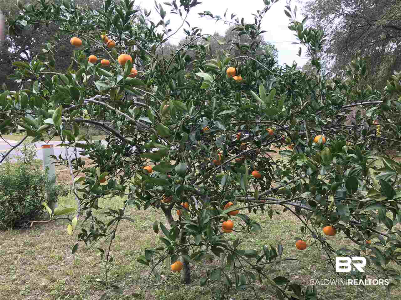 2364 Calloway Road Gulf Shores, AL 36542 - Photo 18 of 21