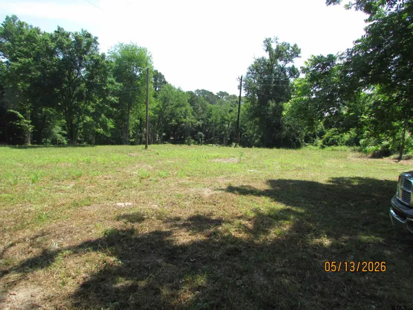 a view of outdoor space with yard and green space