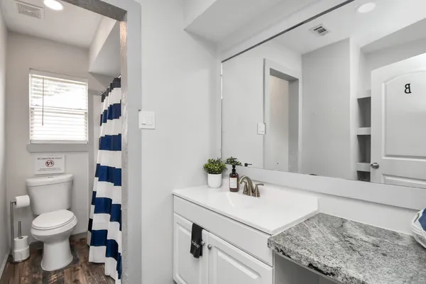 a bathroom with a sink a toilet and a mirror