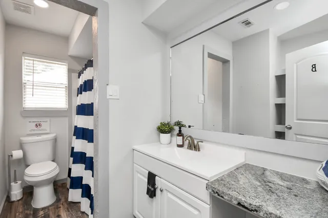 a bathroom with a sink a toilet and a mirror