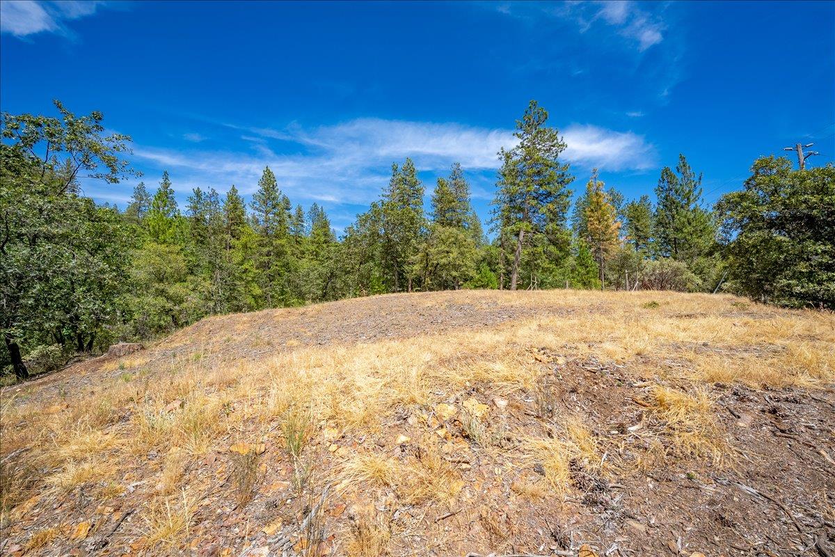 22600 Plumtree Road Colfax, CA 95713 - Photo 13 of 37