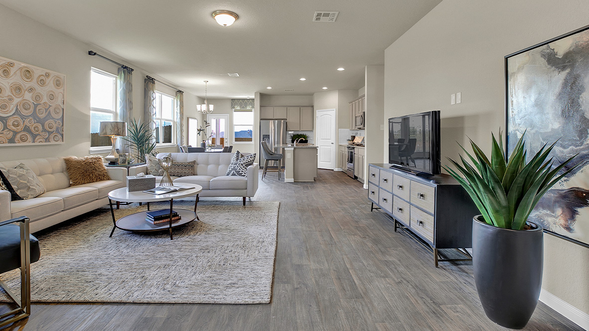 121 Little Walnut Cove Kyle, TX 78640 - Photo 6 of 31 a living room with furniture potted plant and a flat screen tv