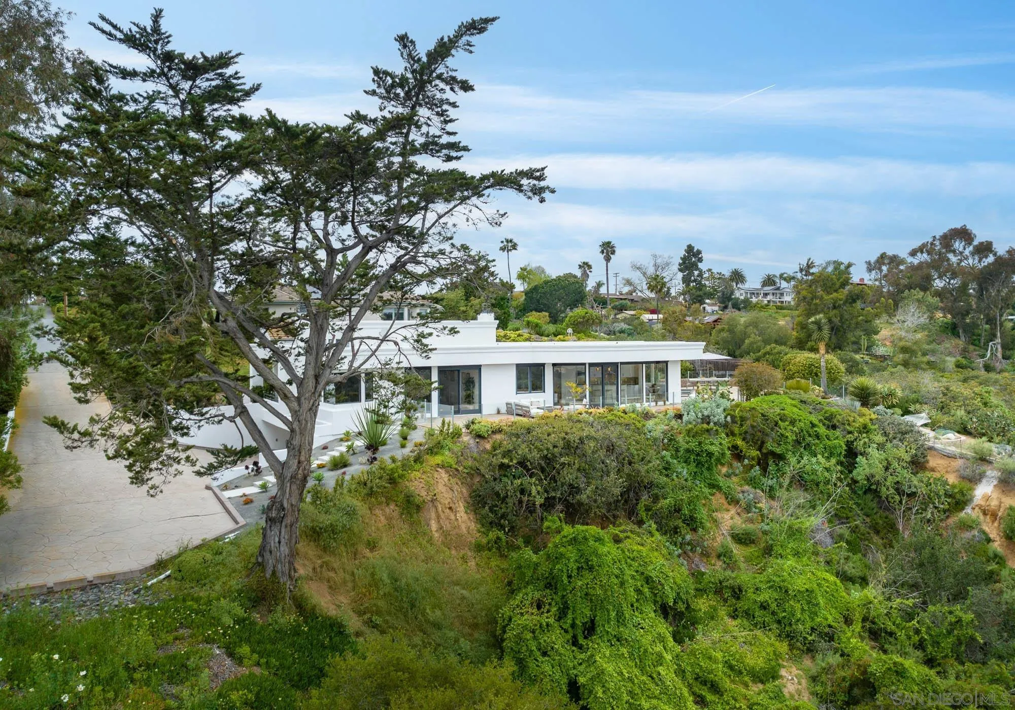 1953 Crest Drive Encinitas, CA 92024 - Photo 42 of 42 a view of a big yard with plants and large trees