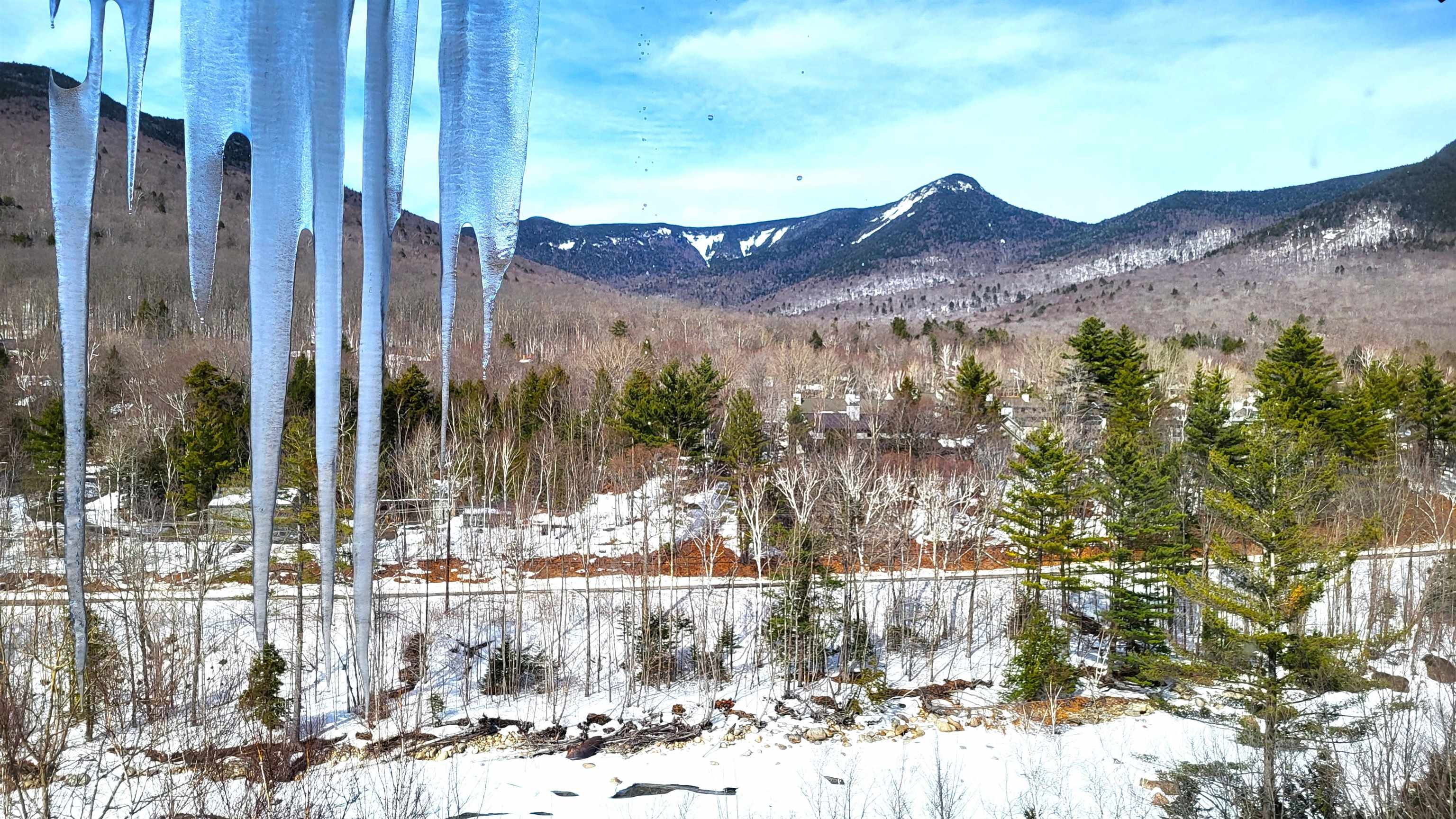 90 Loon Mountain Road, Unit 1153D Lincoln, NH 03251 - Photo 13 of 32