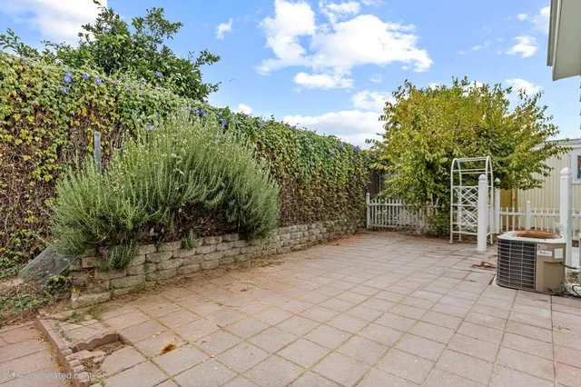 a view of a yard with plants and a bench