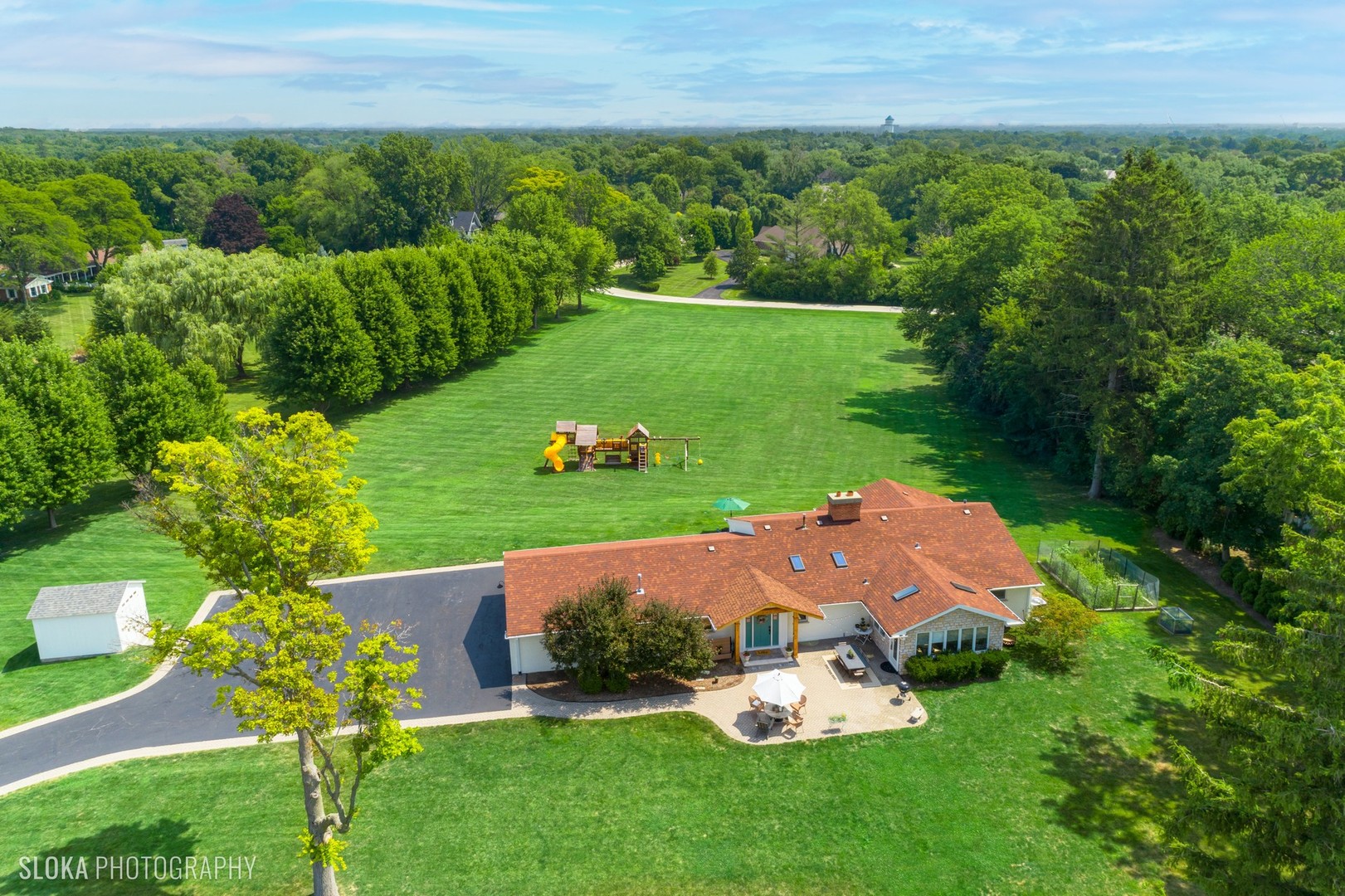 a view of a garden with plants and large trees