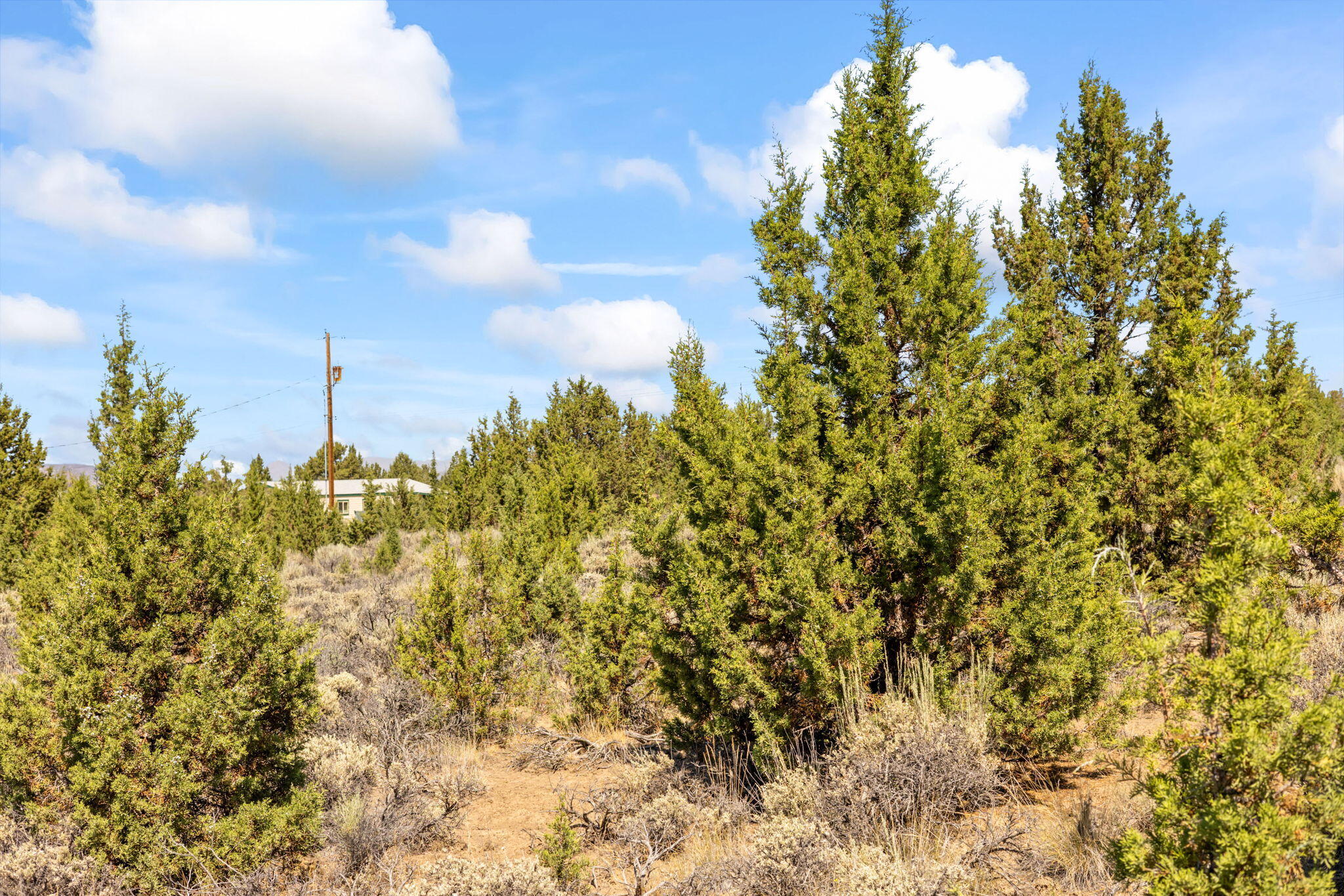 600 Southeast Tacoma Road Prineville, OR 97754 - Photo 10 of 38 10-web-or-mls-09