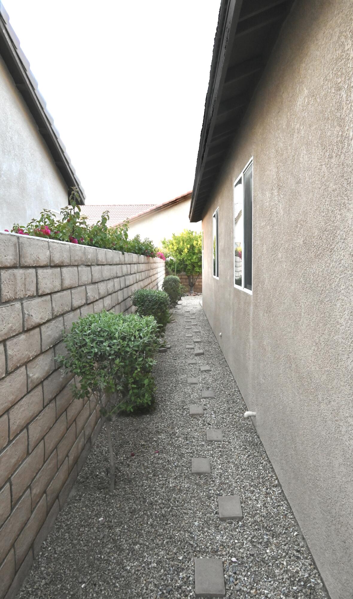 82782 Matthau Drive Indio, CA 92201 - Photo 25 of 27 a view of a backyard with plants