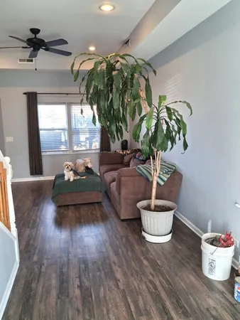 a living room with furniture and a potted plant