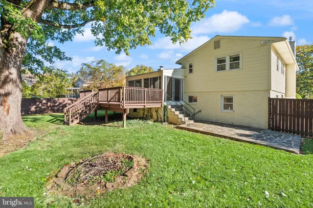 a view of a backyard with plants and a garden