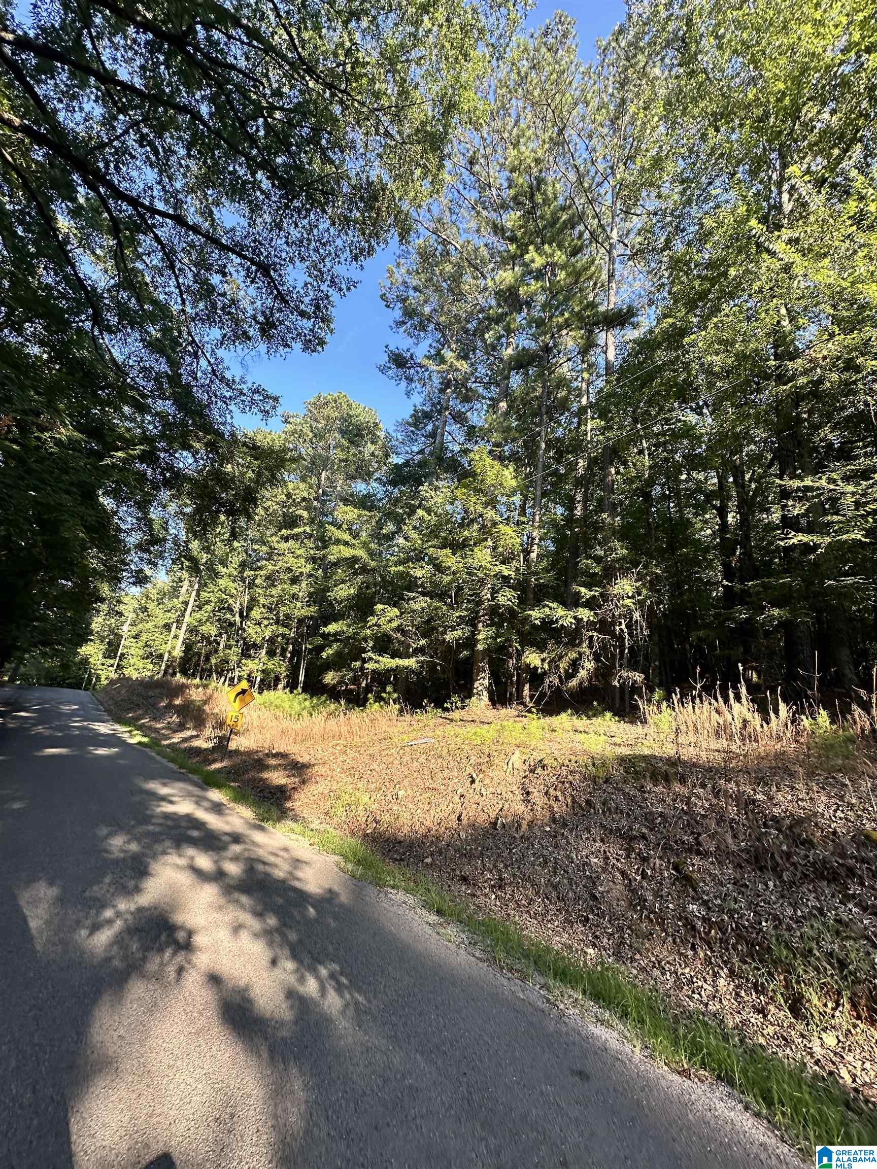 500 Black Acres Road, Unit 27 Cropwell, AL 35054 - Photo 8 of 25
