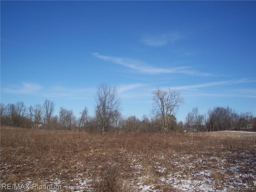 Parcel A Bell Oak Road Webberville, MI 48892 - Photo 31 of 48