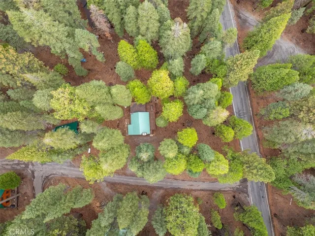 a view of a city with lush green forest