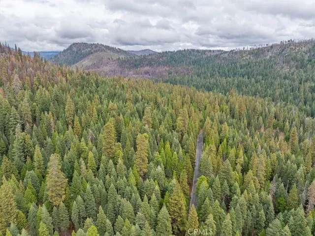 a backyard of a house with a tree