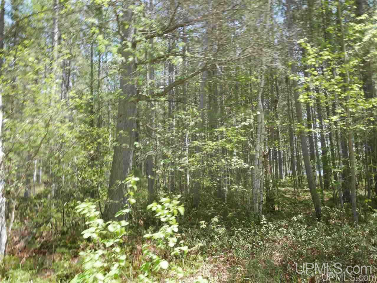 33985 Rice Landing Rd Lake Lake Linden, MI 49945 - Photo 29 of 30