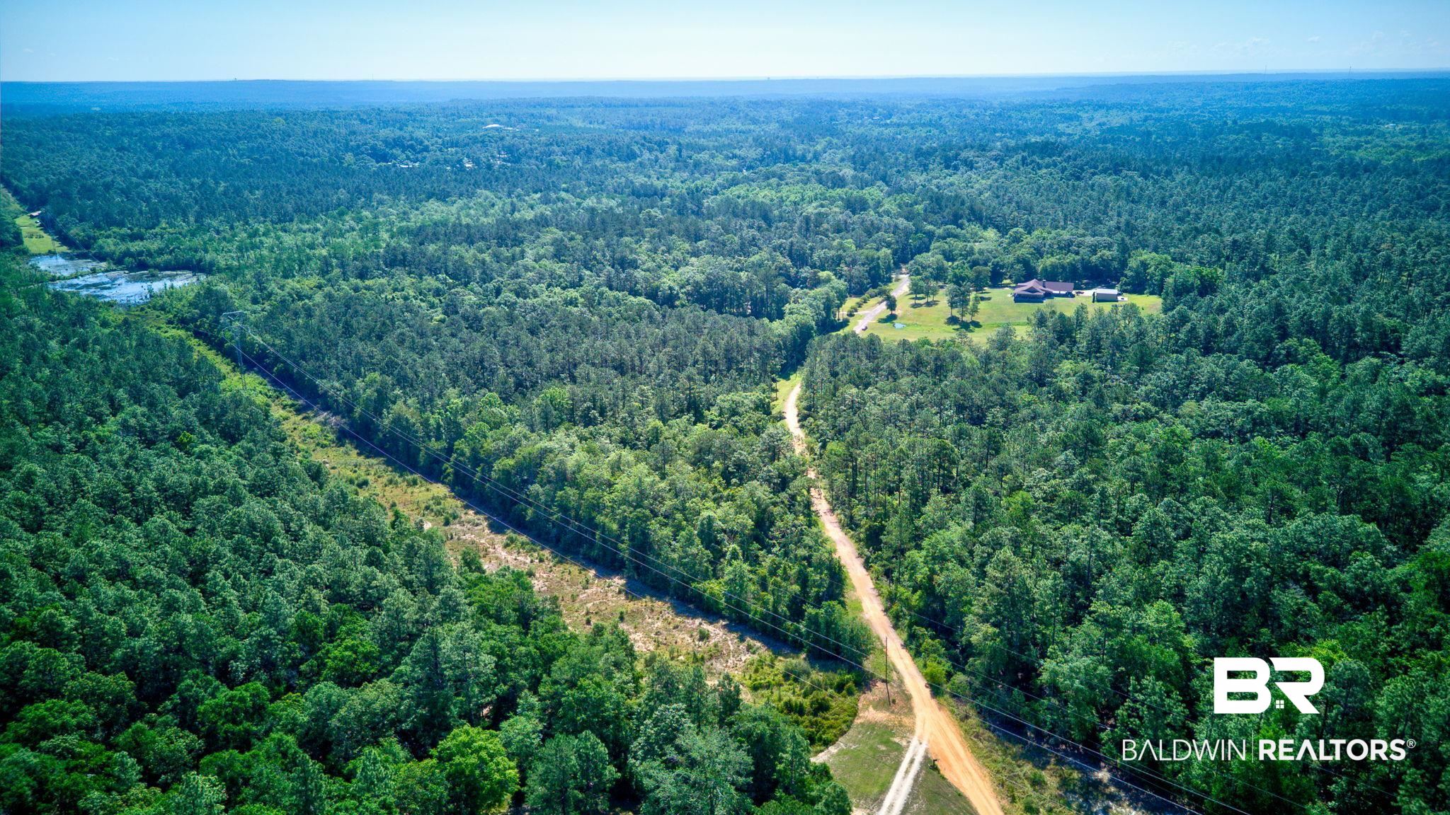 0 Evans Road Chunchula, AL 36521 - Photo 17 of 19