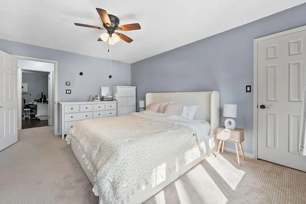 a bedroom with a bed a television and a potted plant