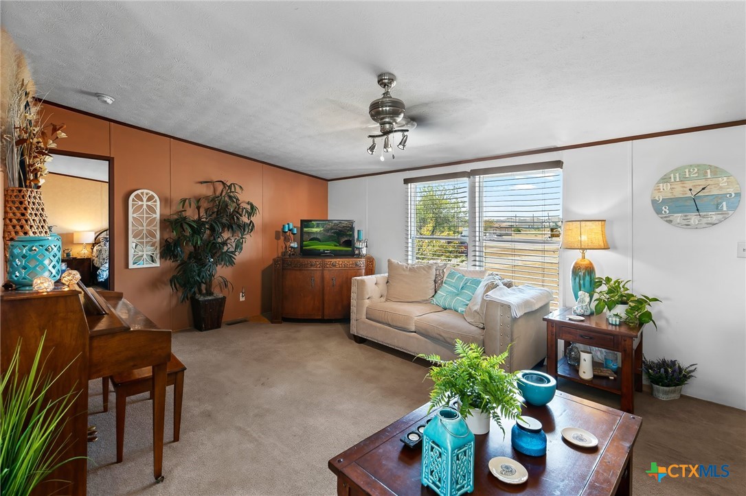 14815 Johnson Rd Trail Manor, TX 78653 - Photo 20 of 37 a living room with furniture potted plant and a window