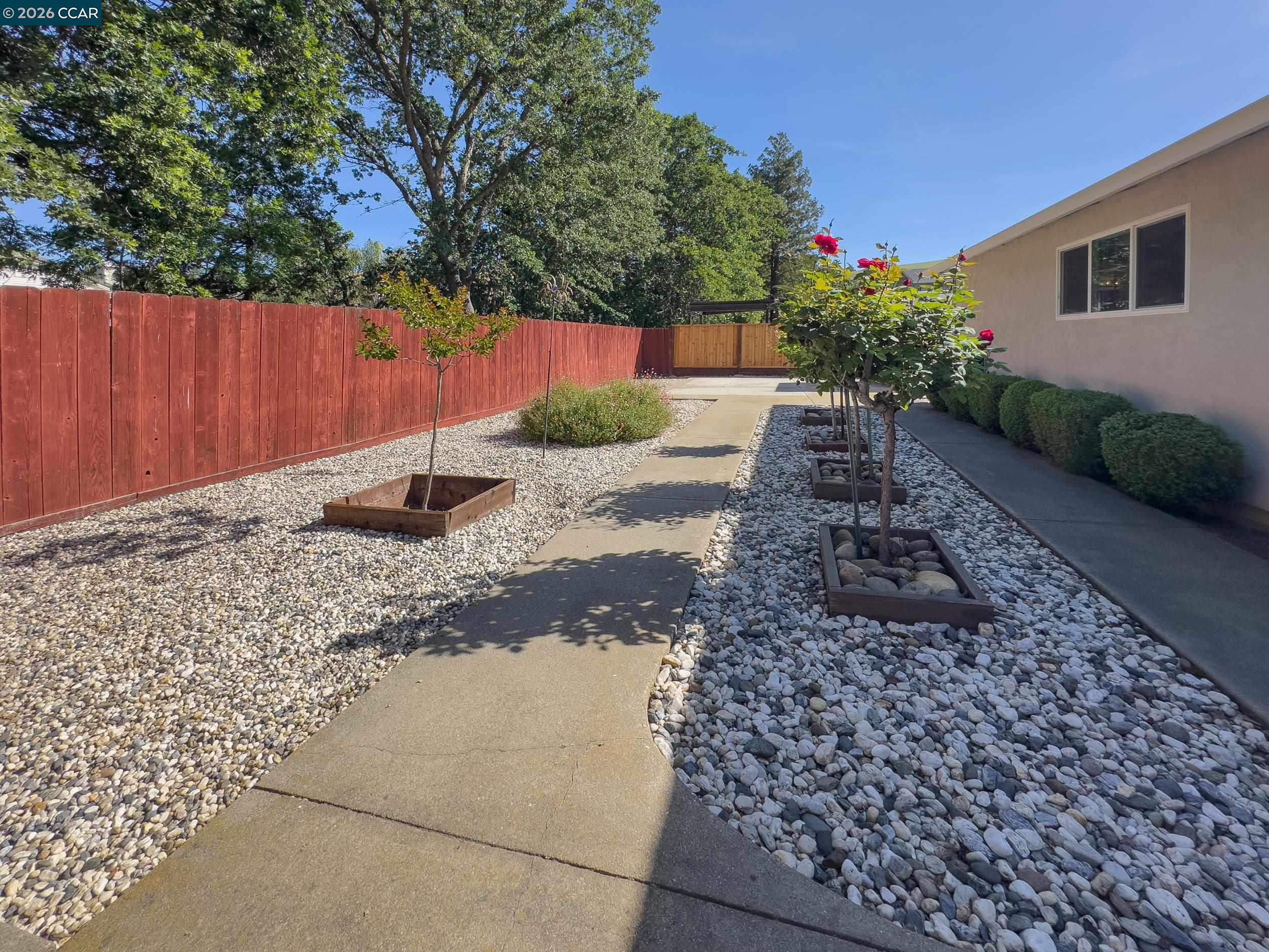 314 Semillon Circle Clayton, CA 94517 - Photo 37 of 38 a backyard of a house with a tree