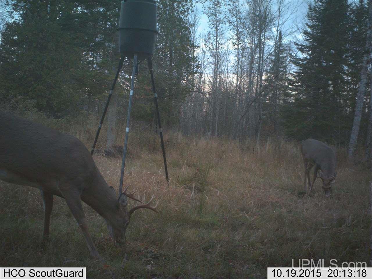 5902 Co Rd 511 Rapid River, MI 49878 - Photo 19 of 21