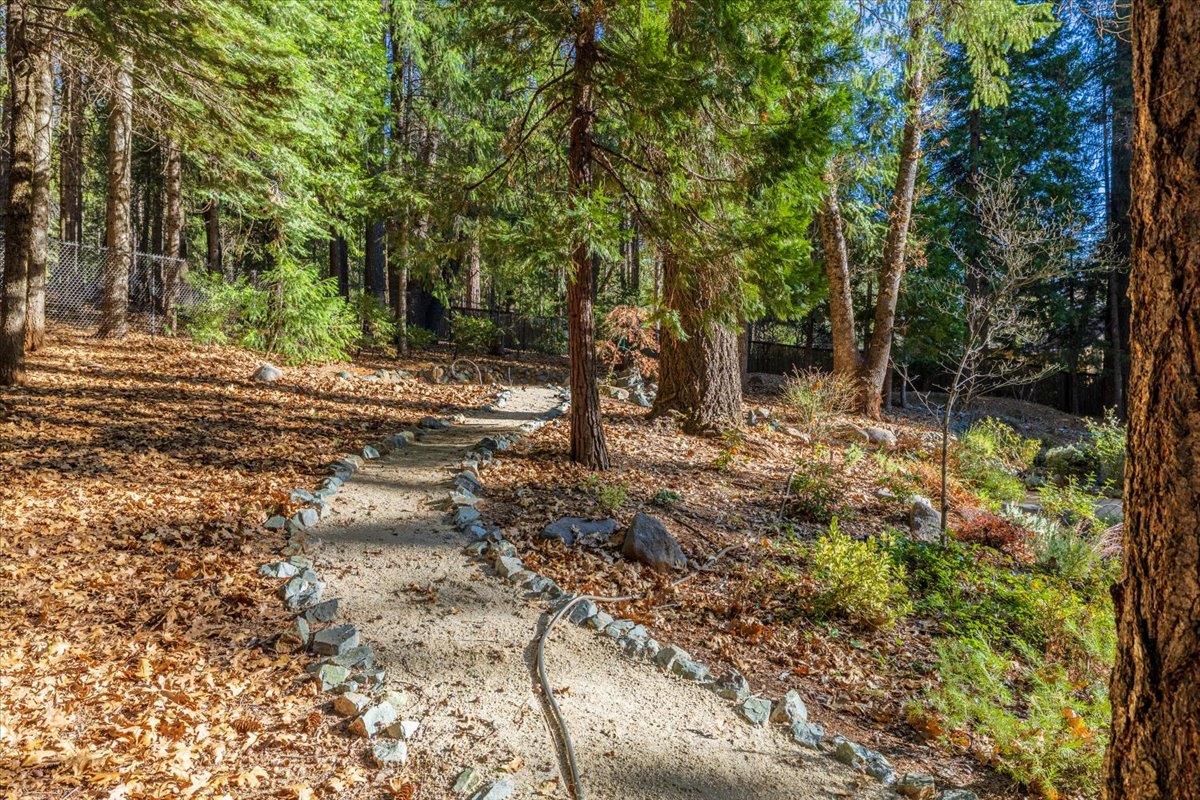 14622 Banner Lava Cap Road Nevada City, CA 95959 - Photo 58 of 66 a backyard of a house with lots of green space