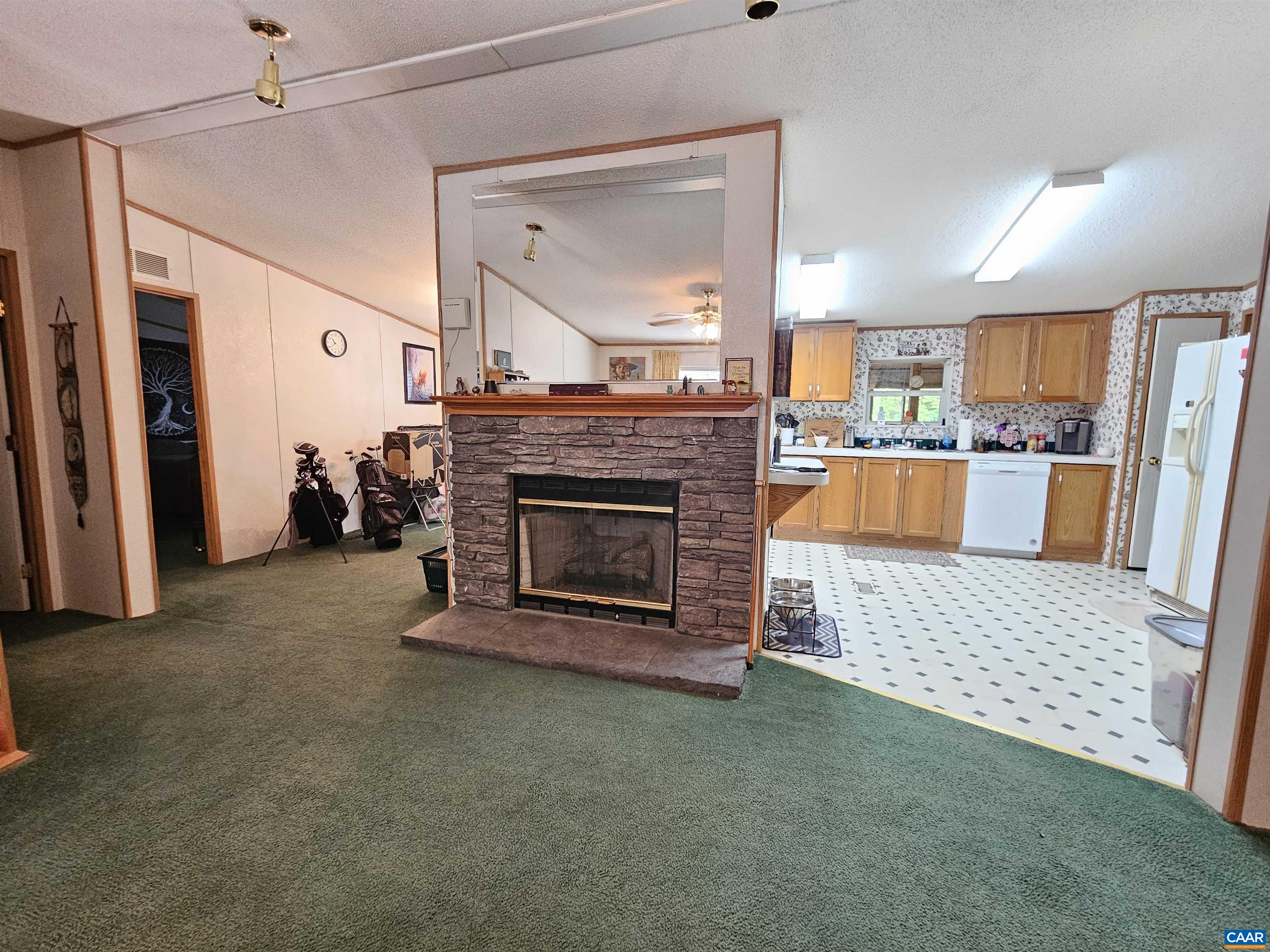 981 Scotts Bottom Road Dillwyn, VA 23936 - Photo 7 of 62 a living room with furniture and a fireplace
