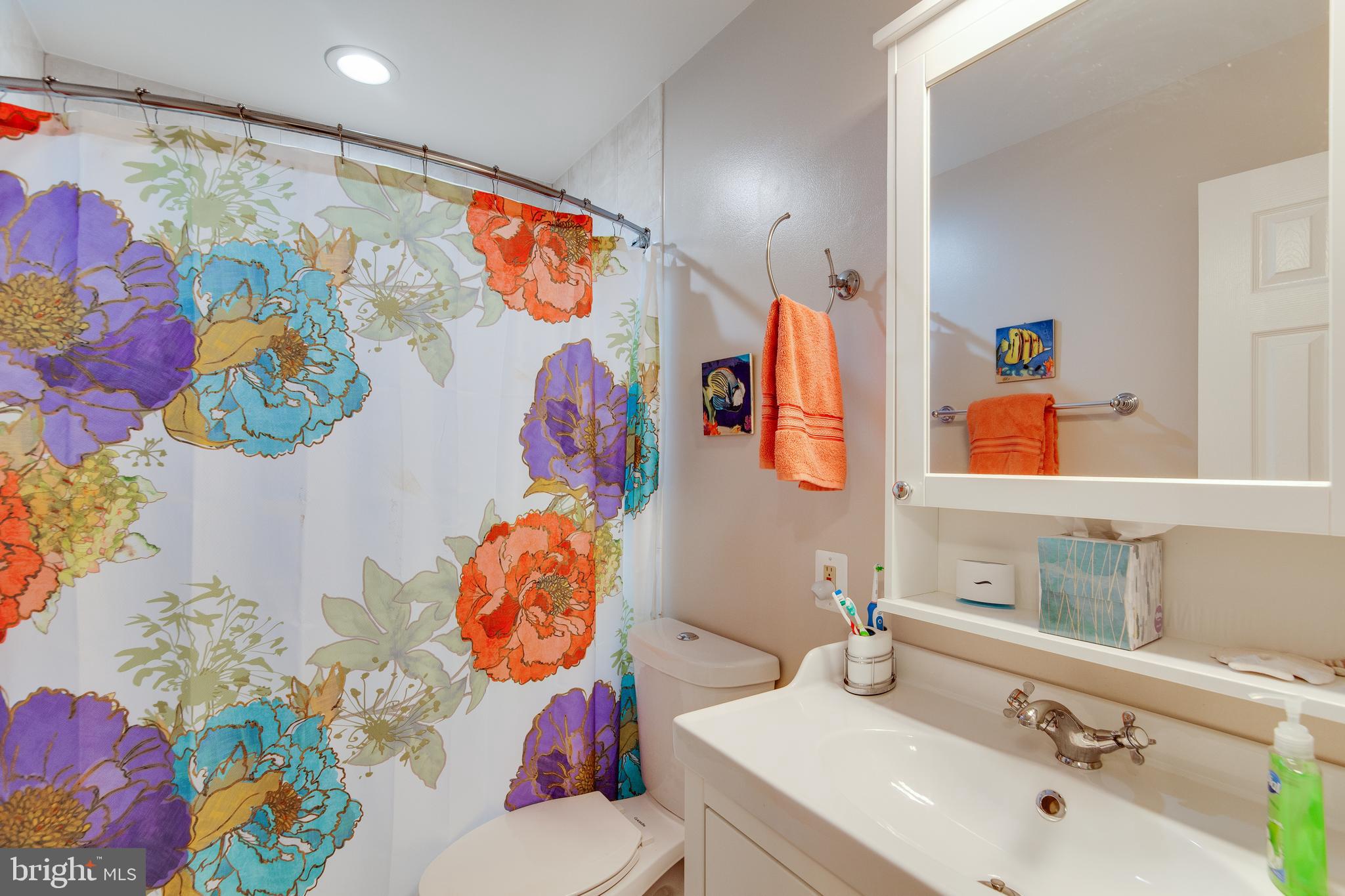 6933 Conservation Drive Springfield, VA 22153 - Photo 22 of 32 Full Bathroom