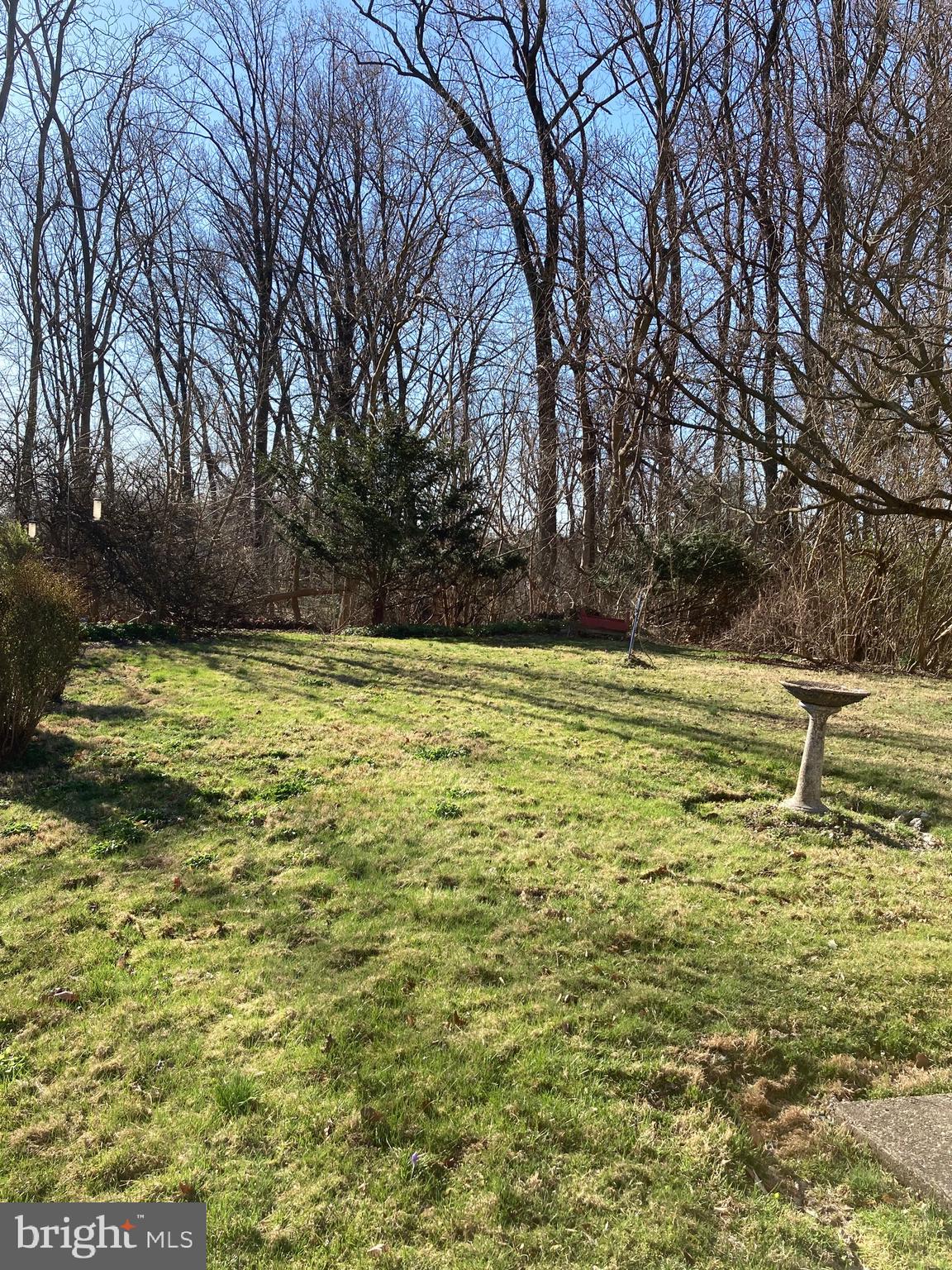 449 Edge Hill Road Glenside, PA 19038 - Photo 22 of 22 Lots of Room to Roam