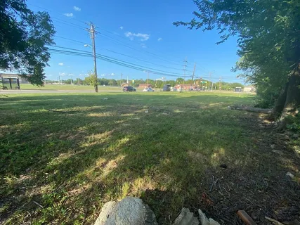 a view of a green field with lots of bushes