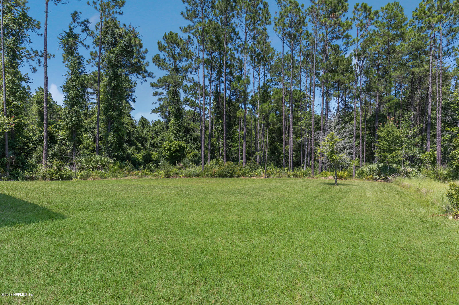 211 Esmeralda Road St. Augustine, FL 32095 - Photo 8 of 72 4- Yard and View