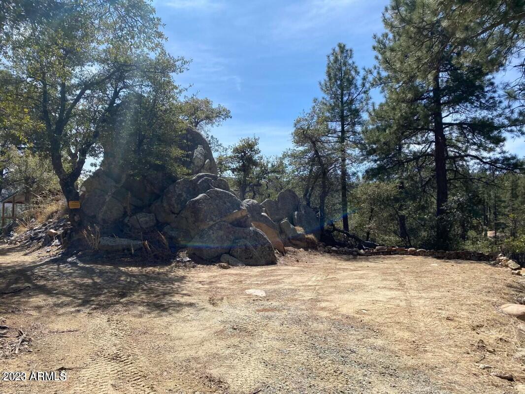 23659 Sunny South Road Crown King, AZ 86343 - Photo 18 of 29 a view of a yard