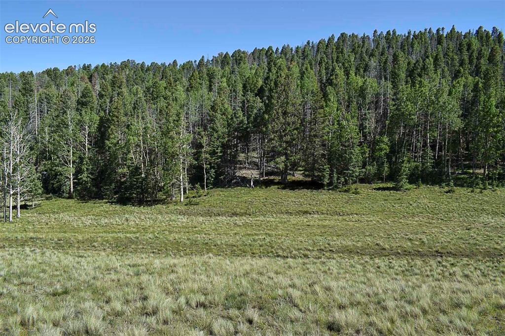 0 Bear Cat Road Guffey, CO 80820 - Photo 20 of 40