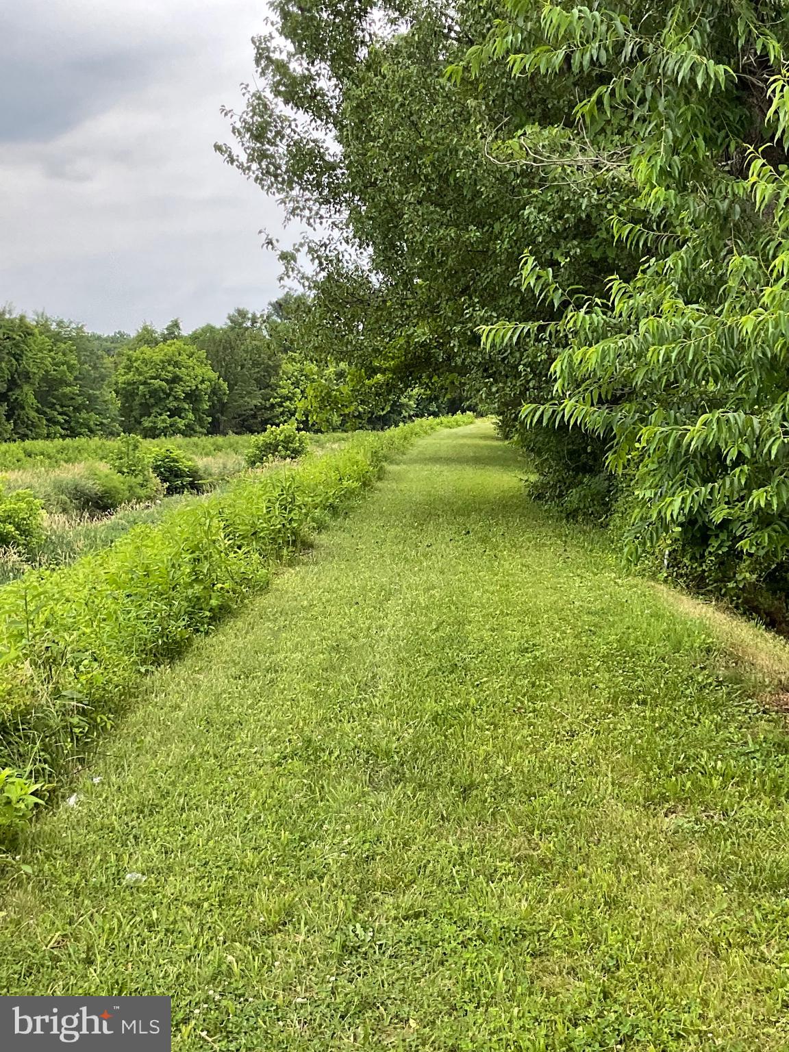 7568 Alleghany Road Manassas, VA 20111 - Photo 11 of 40 Gallery Image 11