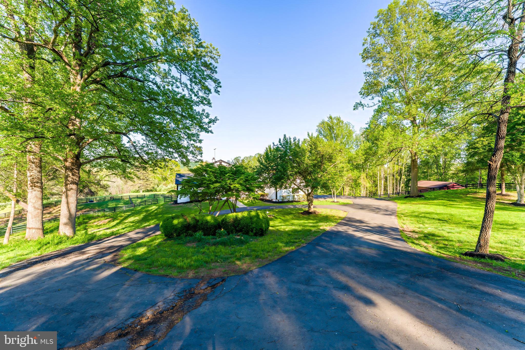 6891 Wilson Road Marshall, VA 20115 - Photo 102 of 118 Serene driveway amidst lush greenery.