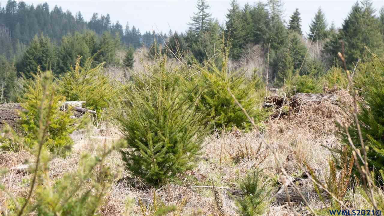 R287435 R287435 Toledo, OR 97391 - Photo 10 of 38 Gallery Image 10