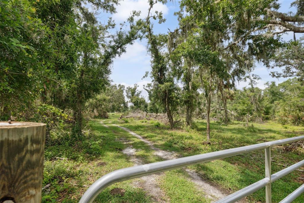 15780 Wilson Road Sarasota, FL 34240 - Photo 35 of 66 Gallery Image 35