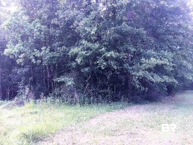 17531 Caldwell Lane Bon Secour, AL 36535 - Photo 3 of 5