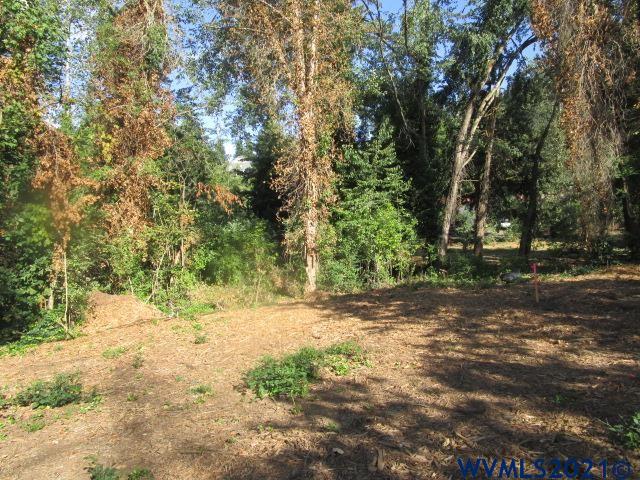 6912 Liberty Road South Salem, OR 97306 - Photo 28 of 37 a view of a yard with a tree