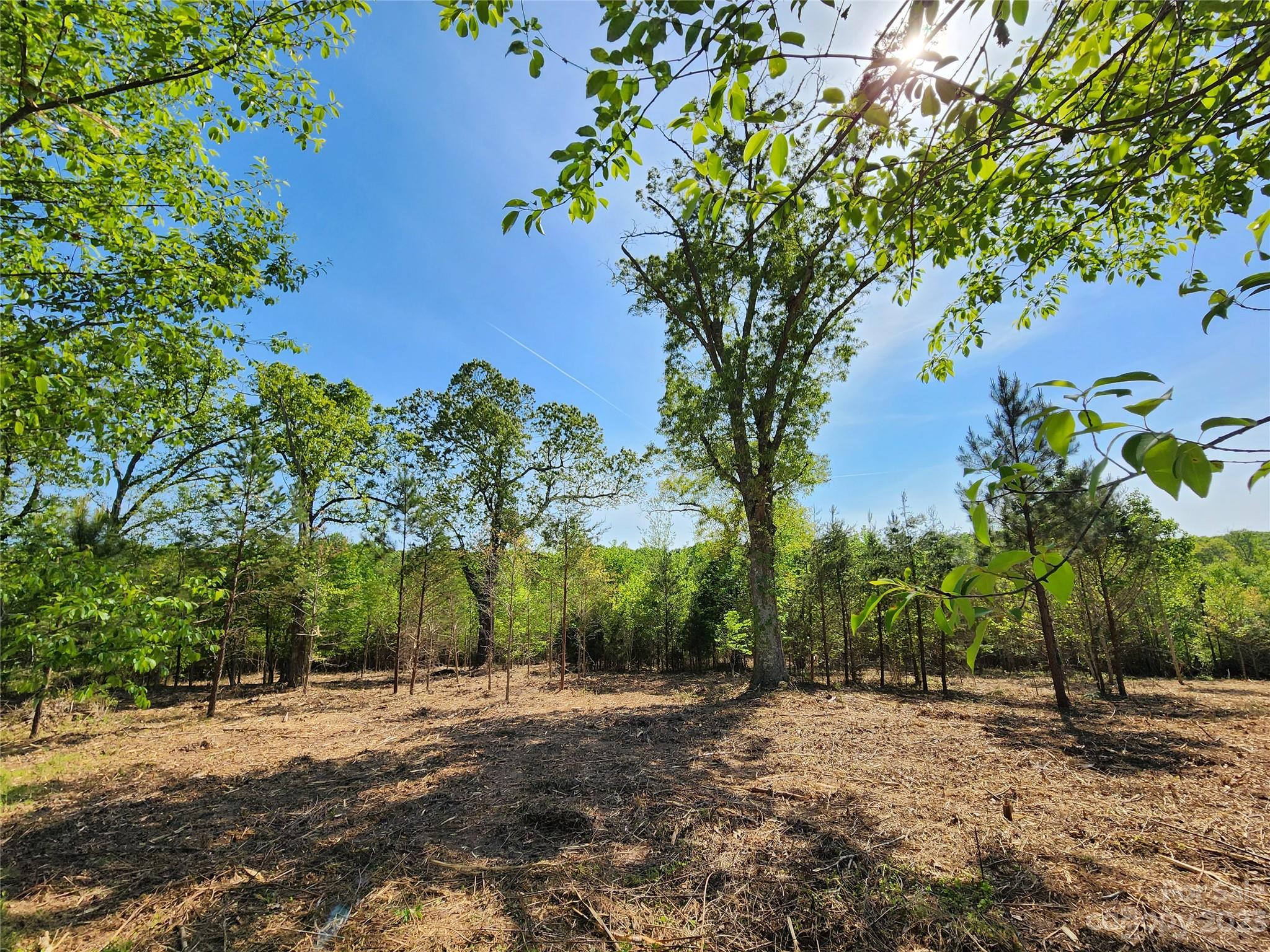 1101 Robinson Yelton Road Clover, SC 29710 - Photo 1 of 42