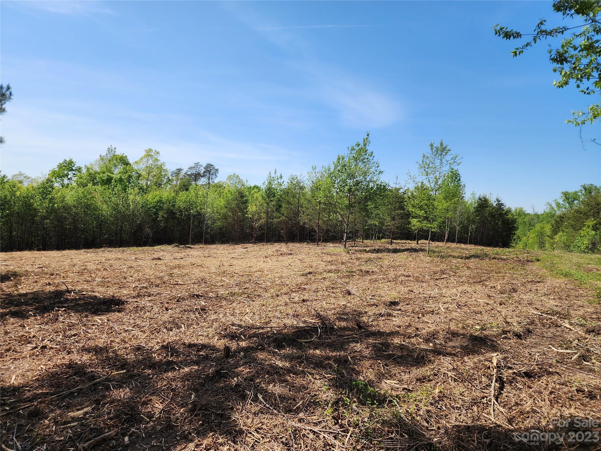 1101 Robinson Yelton Road Clover, SC 29710 - Photo 11 of 42