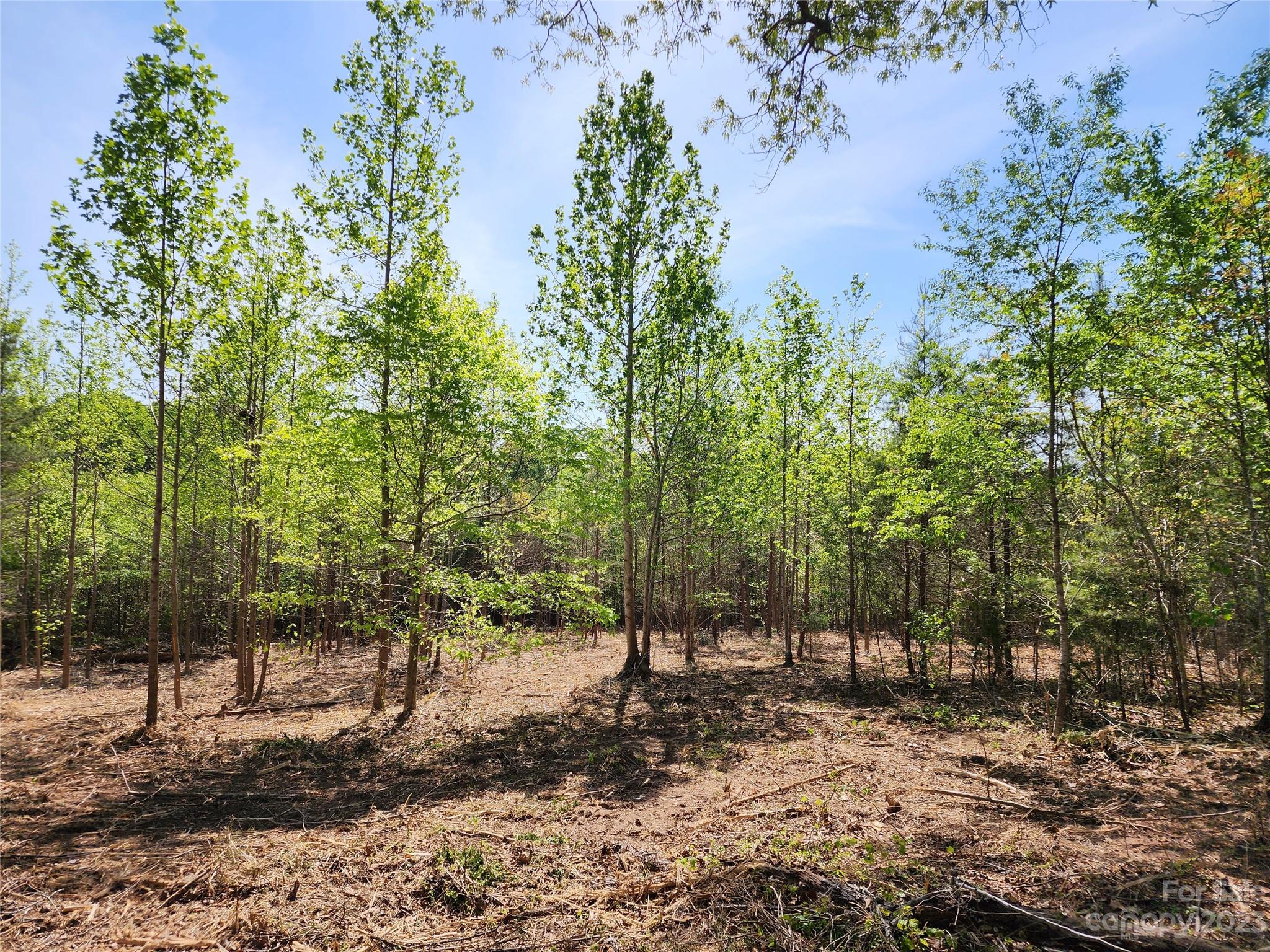 1101 Robinson Yelton Road Clover, SC 29710 - Photo 12 of 42