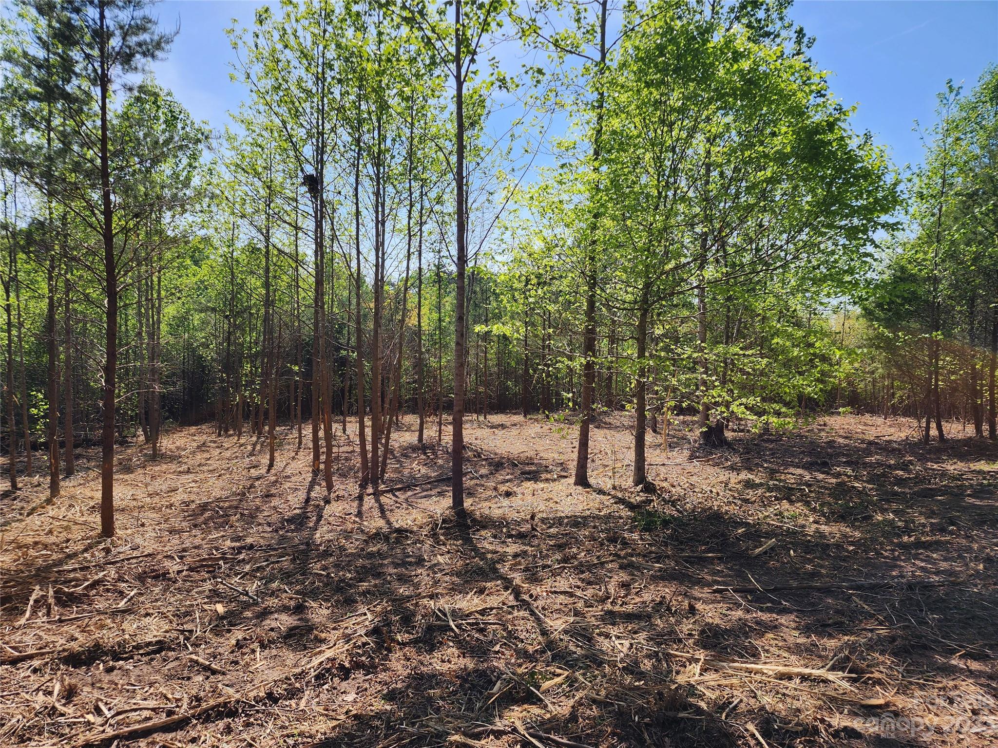 1101 Robinson Yelton Road Clover, SC 29710 - Photo 13 of 42