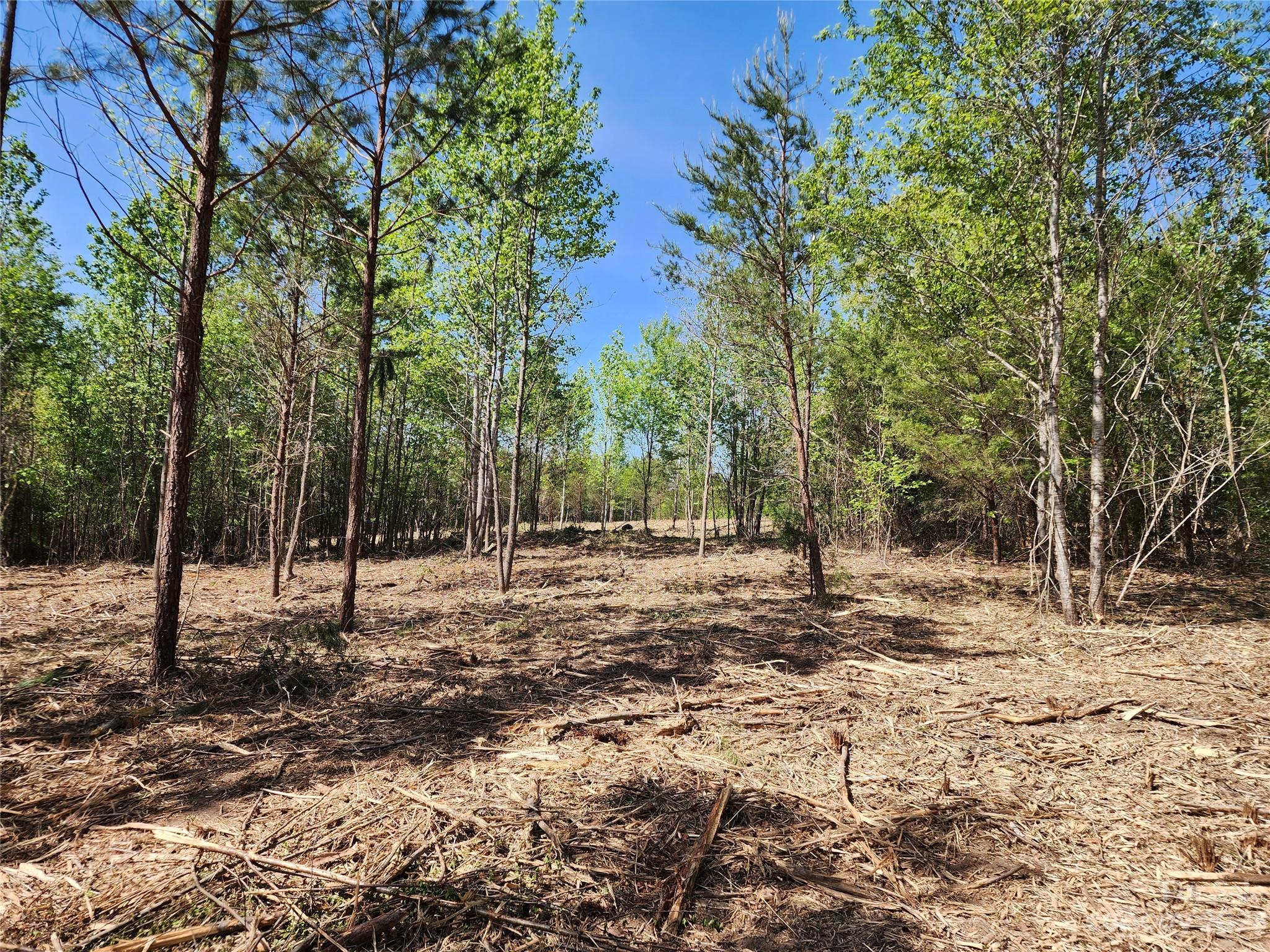 1101 Robinson Yelton Road Clover, SC 29710 - Photo 14 of 42