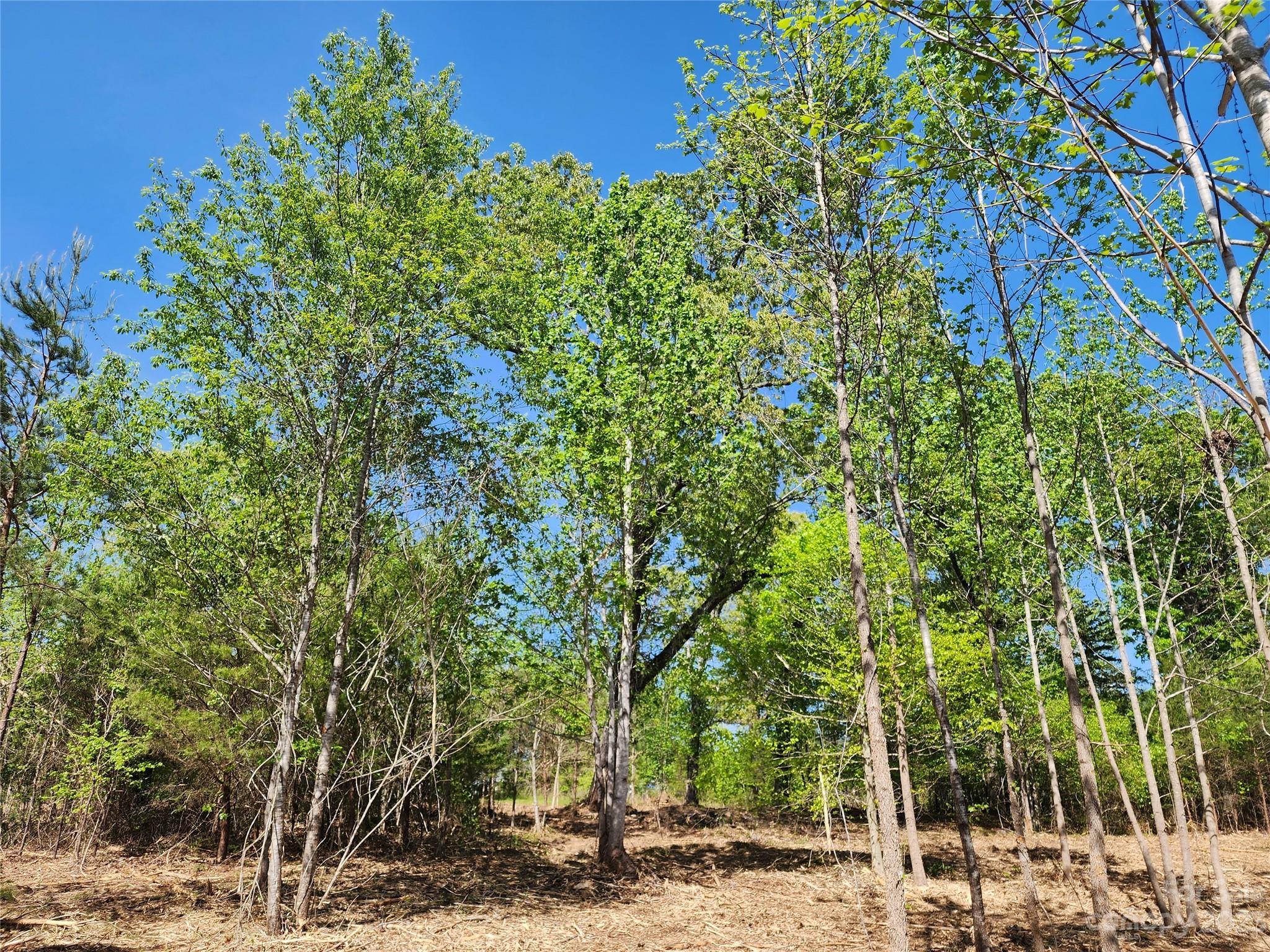 1101 Robinson Yelton Road Clover, SC 29710 - Photo 15 of 42