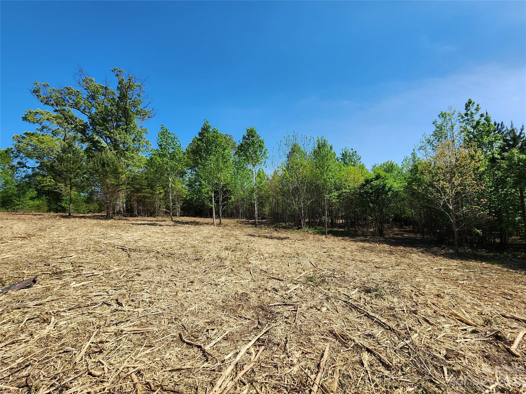 1101 Robinson Yelton Road Clover, SC 29710 - Photo 17 of 42