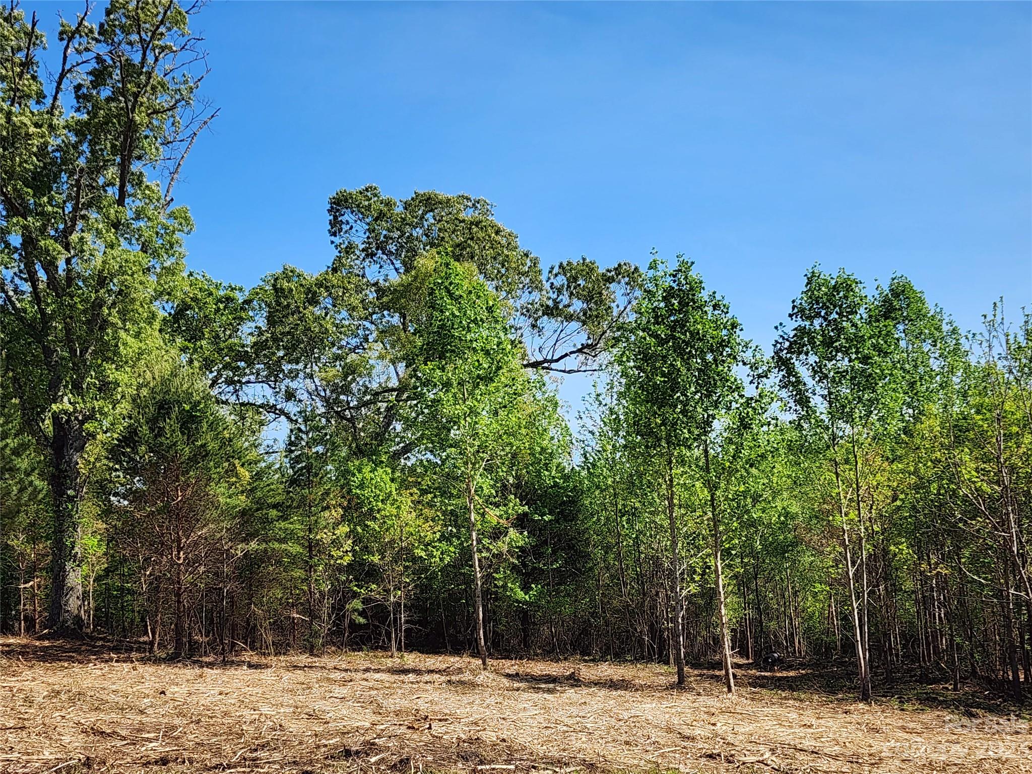 1101 Robinson Yelton Road Clover, SC 29710 - Photo 19 of 42
