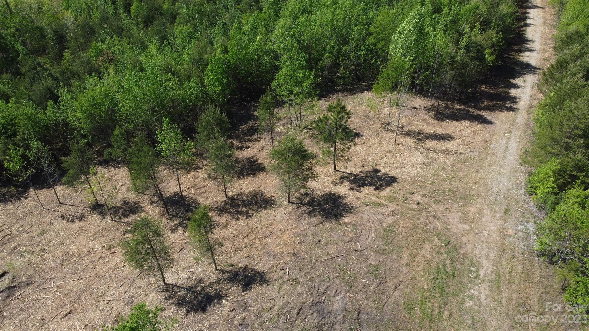1101 Robinson Yelton Road Clover, SC 29710 - Photo 23 of 42