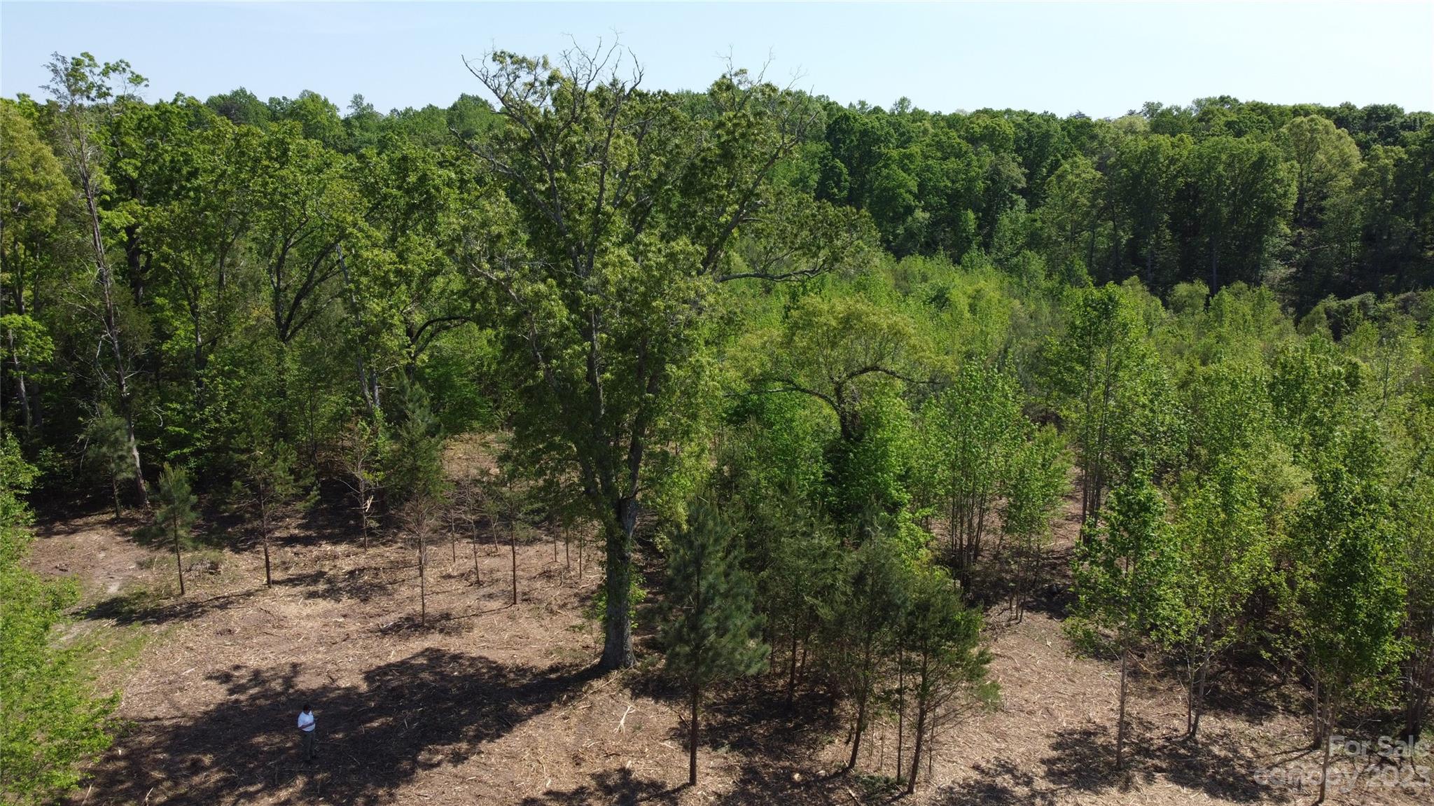 1101 Robinson Yelton Road Clover, SC 29710 - Photo 24 of 42